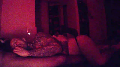 Dildodino69  15-03-2023